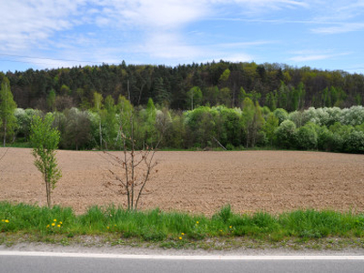 Działka rolno-budowlana Rudnik