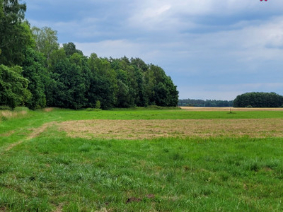 Działka rolno-budowlana Tarnówko