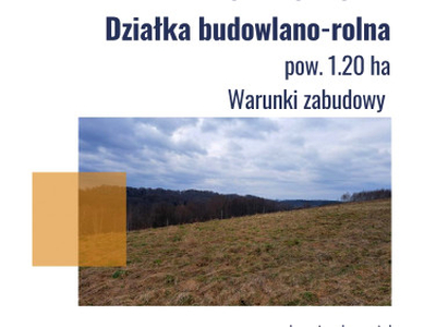 Działka rolno-budowlana Wola Lubecka