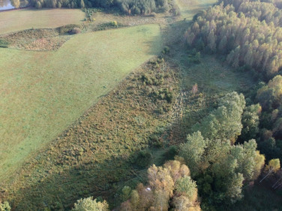 Działka siedliskowa Sokolnik