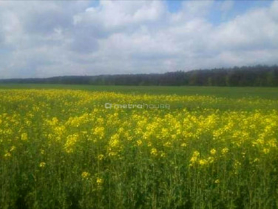 Działka Skrzynki