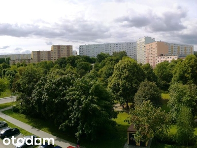 Bezczynszowe z ogrodem 172m2, piwnicą i strychem