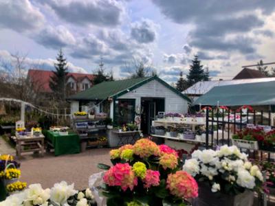 Działka Borowiczki, ul. Gościniec