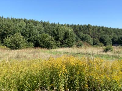 Działka budowlana Biskupice Oławskie