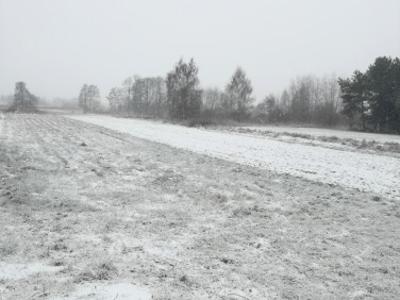 Działka budowlana Cholerzyn