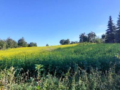 Działka budowlana Dziećmorowice