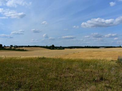 Działka budowlana Gniezno