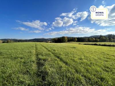 Działka budowlana Janowice Wielkie