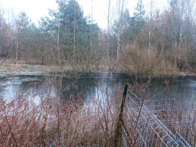 Działka budowlana Kaletnik