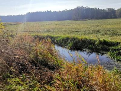 Działka budowlana Kamionki