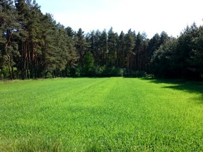 Działka budowlana Koszęcin