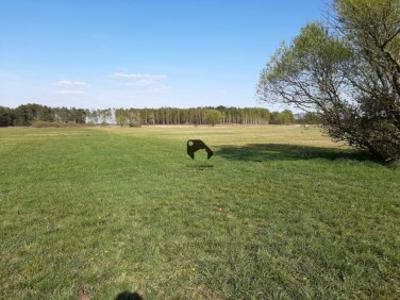 Działka budowlana Nowe Dąbie