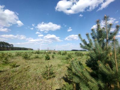 Działka budowlana Stary Chrząstów