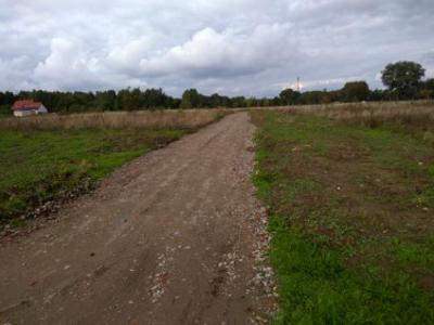 Działka budowlana, ul. Leśne Zacisze