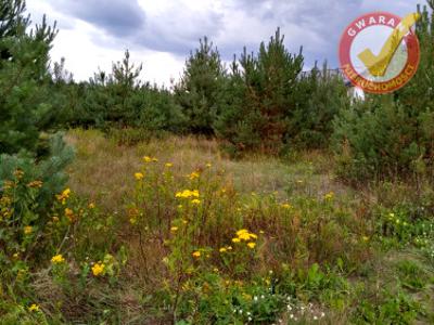 Działka budowlana, ul. Łowiecka