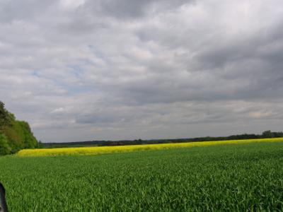 Działka budowlana, ul. Zawilcowa