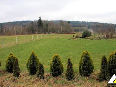 Działka budowlana Świeradów-Zdrój