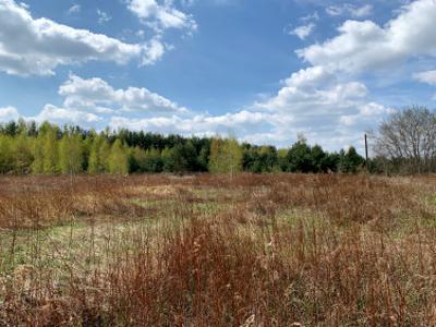 Działka inwestycyjna Chrząstawa Wielka