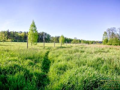 Działka rolno-budowlana Knyszyn