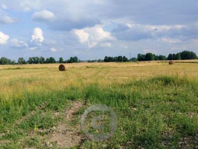 Działka rolno-budowlana Prądocin