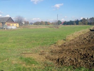 Działka rolna Babice