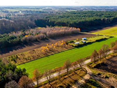 Działka rolna Baciuty-Kolonia