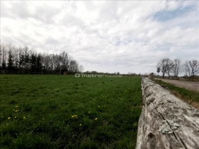 Działka rolna Korlino