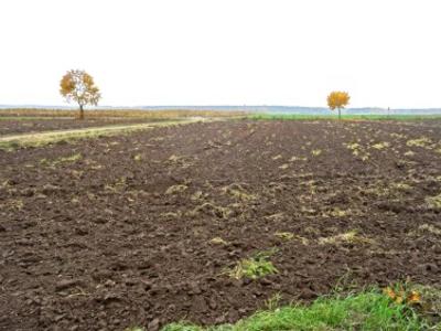 Działka rolna Małe Raczki