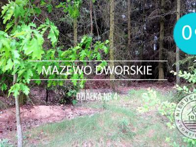 Działka rolna Mazewo Dworskie