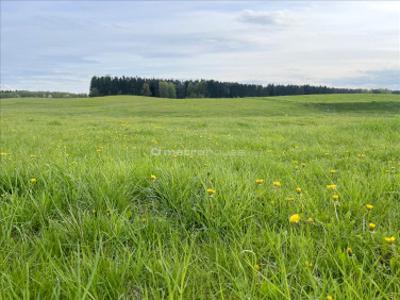 Działka rolna Pieczarki