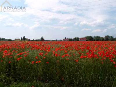 Działka rolna Pieńków