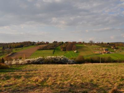 Działka rolna Sieraków