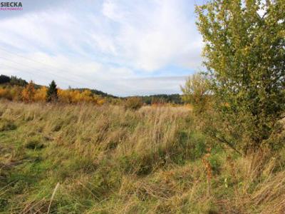 Działka rolna Stare Bogaczowice