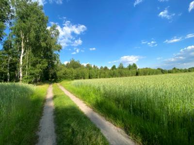 Działka rolna, ul. Czapli