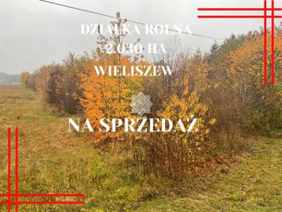 Działka rolna Wieliszew