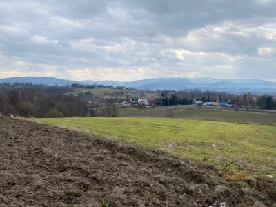 Działka rolna Witanowice