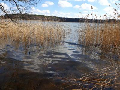 Działka rolno-budowlana Jęcznik