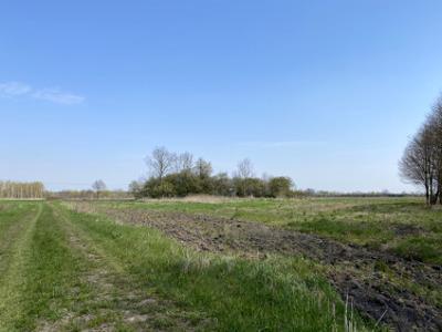 Działka rolno-budowlana Jelcz-Laskowice