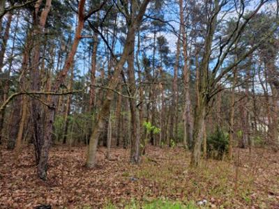 Działka rolno-budowlana Nowy Janków