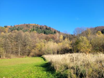 Działka rolno-budowlana Łosie