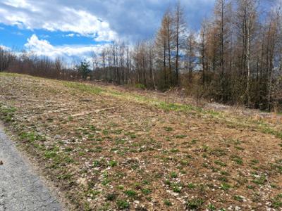 Działka rolno-budowlana Szerzyny