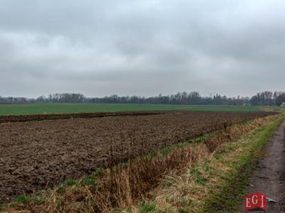 Działka rolno-budowlana, ul. Szkolna