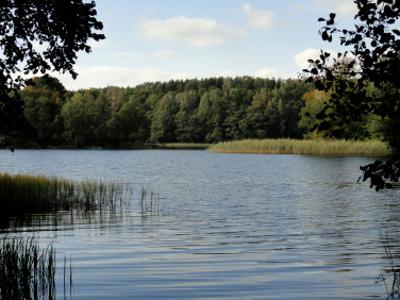 Działka siedliskowa Czaplinek