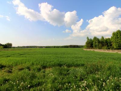 Działka siedliskowa