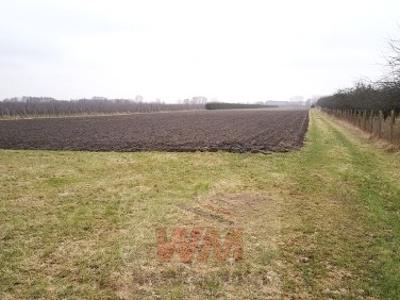 Działka siedliskowa Jasieniec