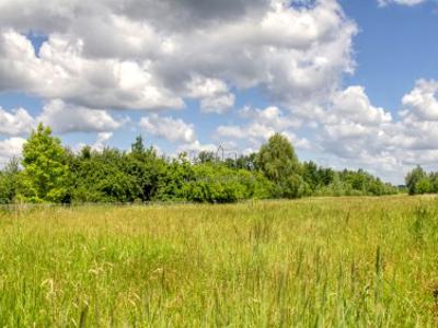 Działka siedliskowa, ul. Ciećwierza