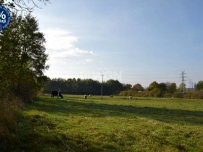 Działka siedliskowa, ul. Spacerowa