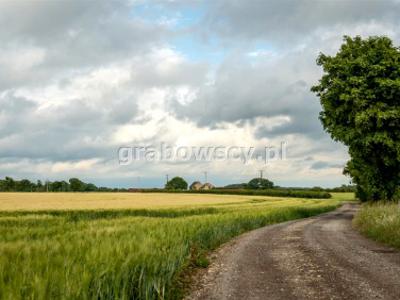 Działka siedliskowa Wierobie