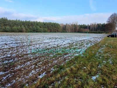 Działka siedliskowa Wygoda