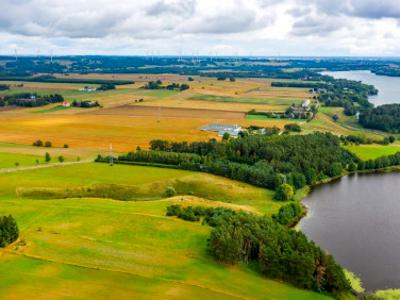 Działka, ul. Filipowska